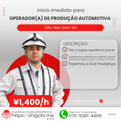 Operador(a) de Produção Automotiva